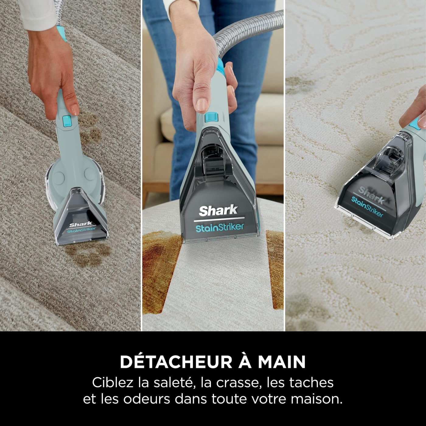 Shark StainStriker