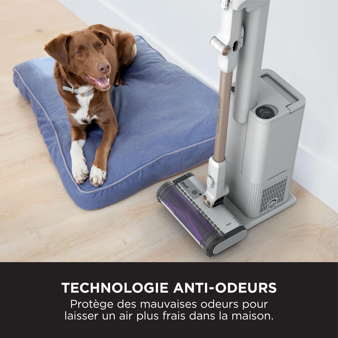 Shark Aspirateur sans Fil