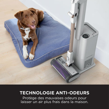 Shark Aspirateur sans Fil